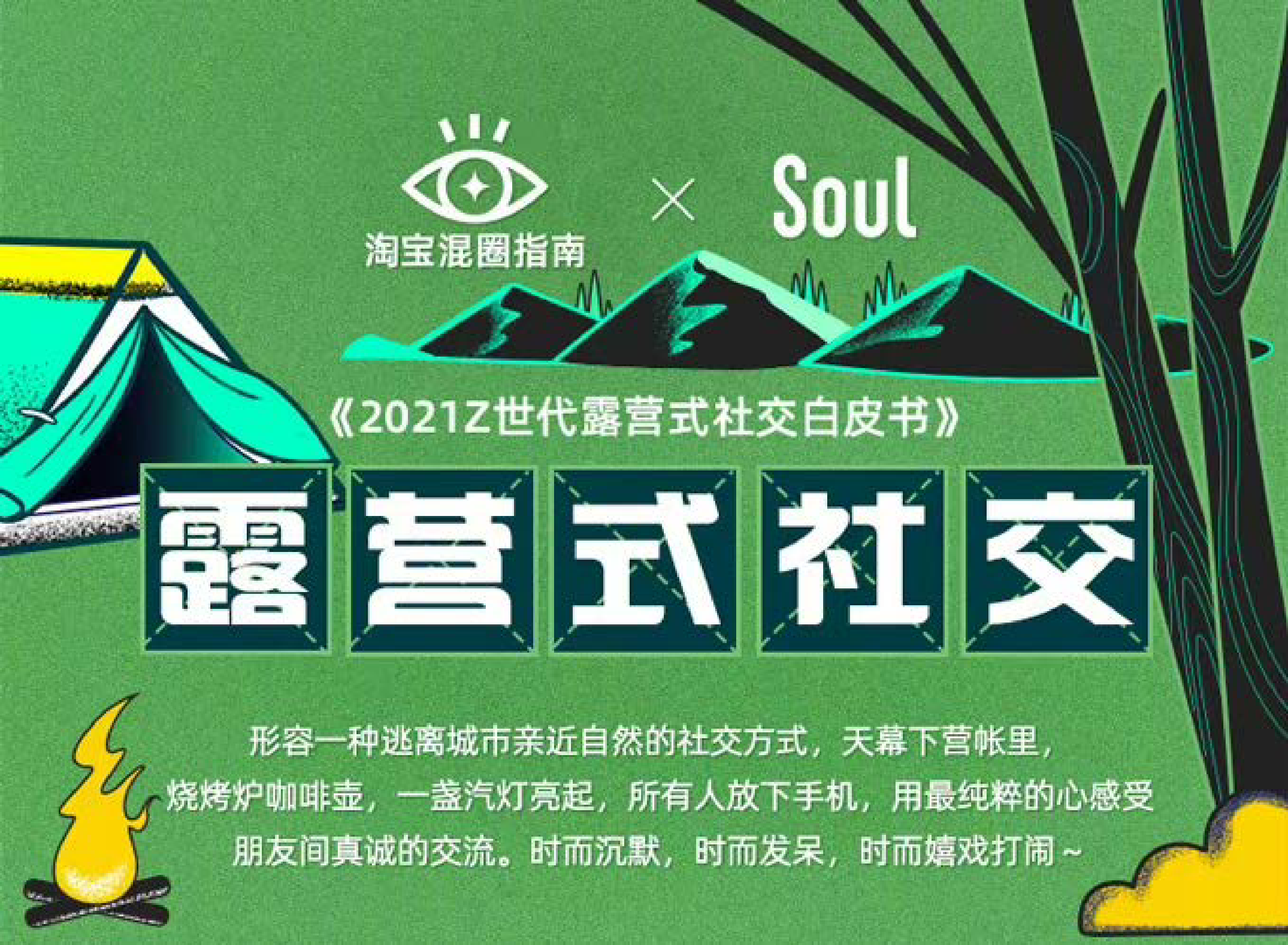 淘宝ampSoul2021Z世代露营式社交白皮书12页